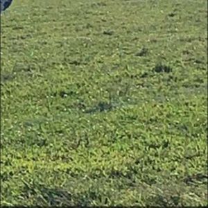 Meet your Posher, Nathaniel